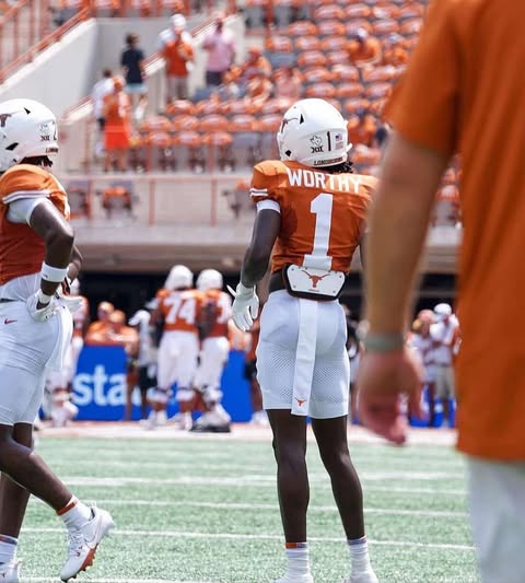 Texas Longhorns Streamer