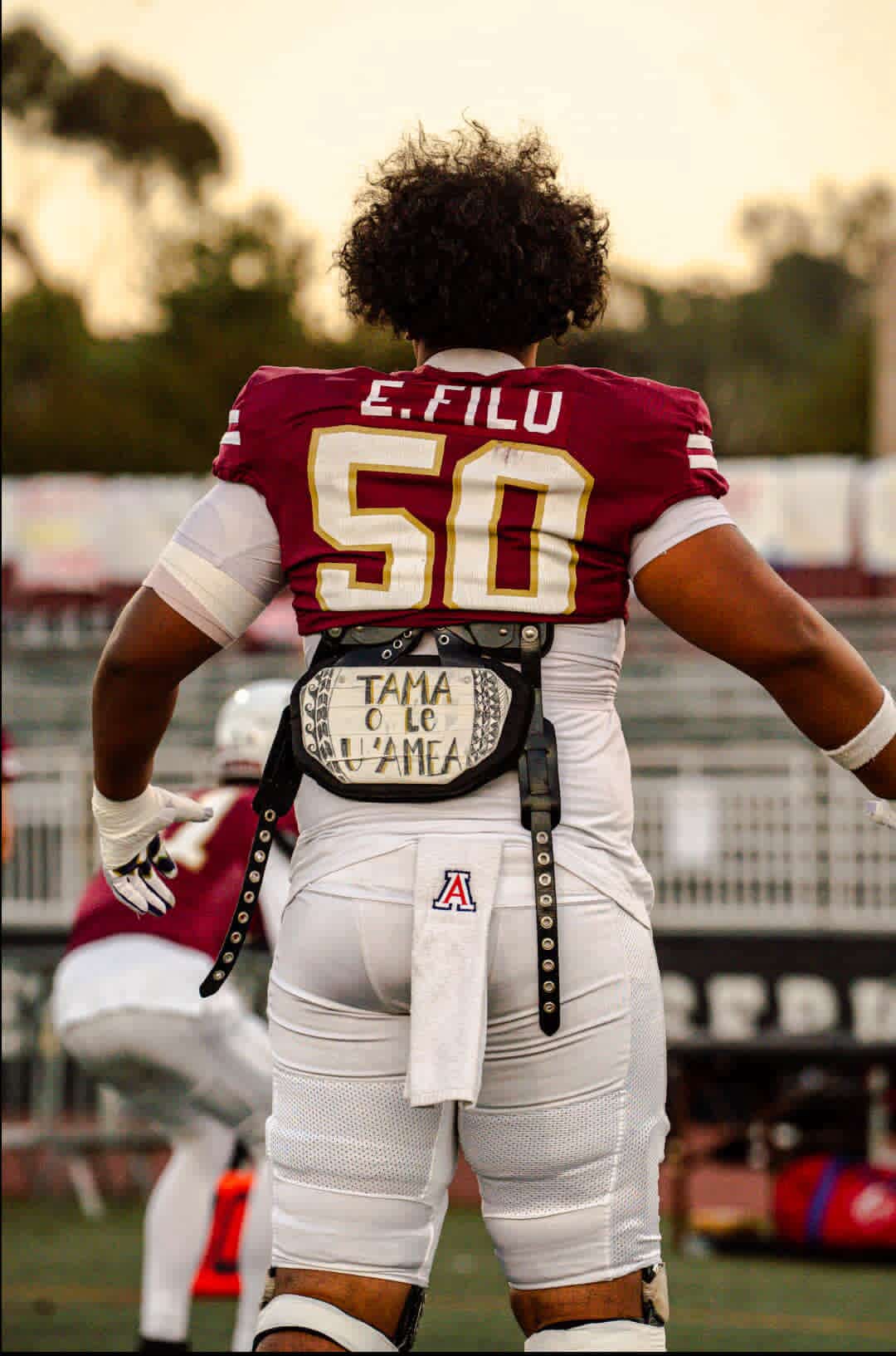 Arizona Wildcat Towel