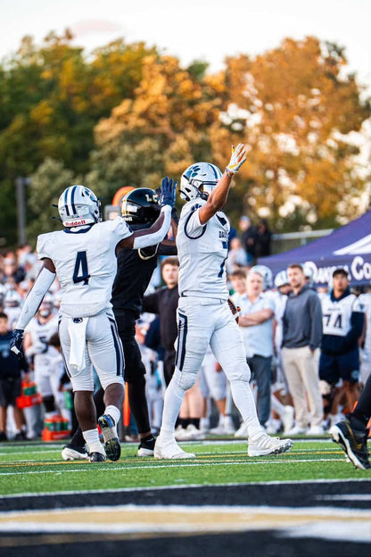 Penn State Lions Towel